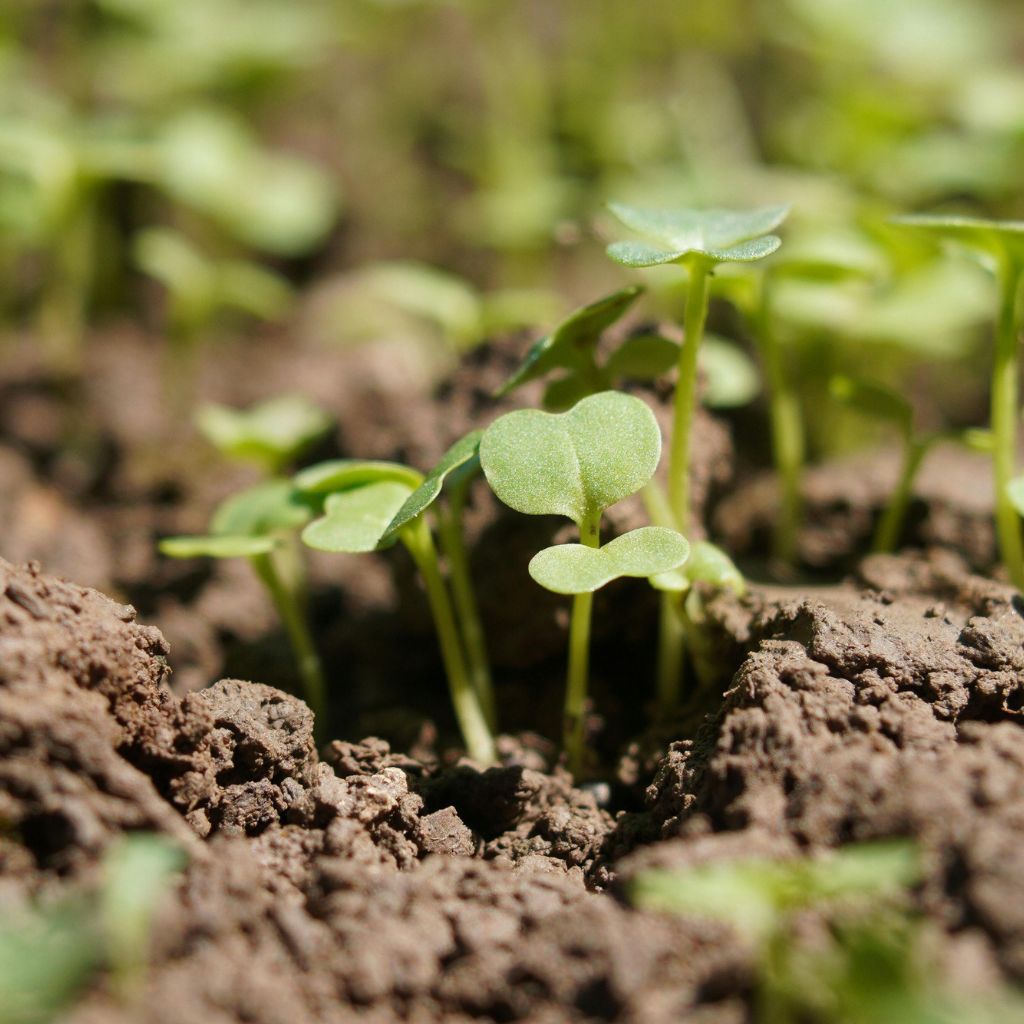 Návrh bez názvu (24)